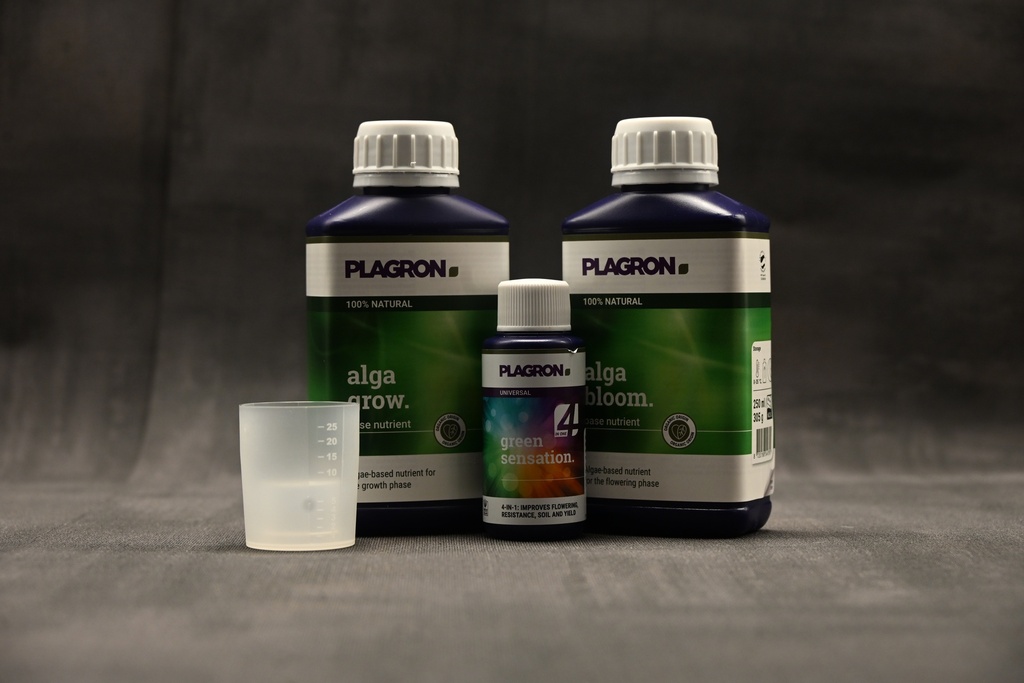 Plagron easy pack 100% Natural