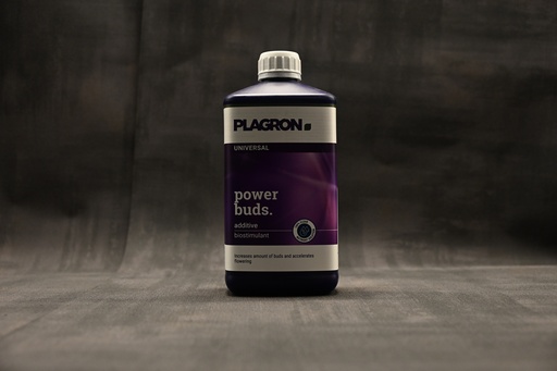 Plagron Power Buds