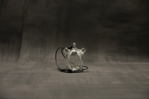 [P0013050] EHLE QualmEi Klarglas