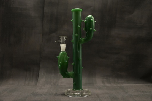 [P0001098] Black Leaf Kaktusbong grün