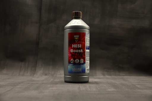 Hesi Boost